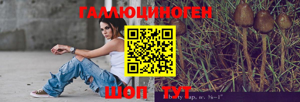 Псилоцибиновые грибы прущие грибы  Вход с VPN  Псилоцибиновые грибы мицелий  Полысаево 